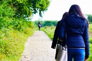 New Forest National Park